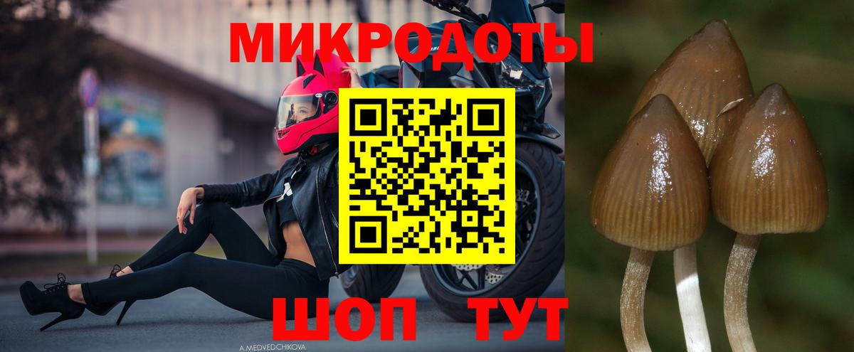 ГАШ  КОКАИН  MDMA  Вход с VPN  Меф   Кызыл  Конопля  ГАШИШ 